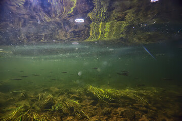 abstract underwater background in the lake, clean freshwater