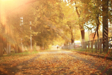 sunny landscape in fall park, autumn season background orange park