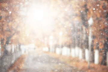 rain background autumn landscape park, abstract seasonal nobody weather october landscape