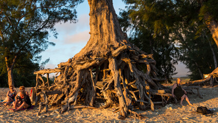 La Saline beach, La Reunion island, france