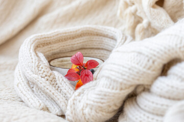 A white ceramic cup wrapped in knitted warm blanket or sweater, autumn leaves. Warmth, cozy atmosphere concept, autumn background.