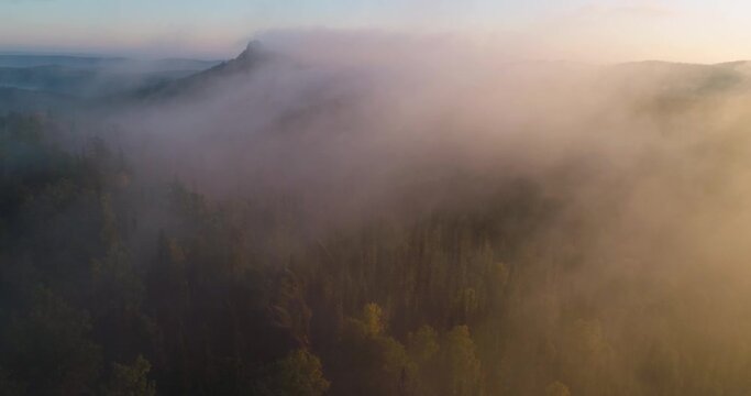 Flight over dense coniferous forest and mountain in early morning fog. High quality 4k footage