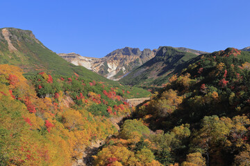 十勝岳連峰の紅葉