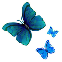 Farfalle colorate che volano