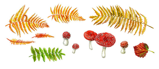 Fototapeta premium Set of hand painted mushrooms, fly agaric, fern, leaves . Watercolor botanical illustrations.