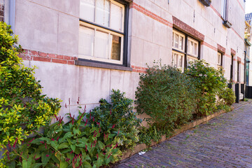 Fototapeta na wymiar Flowers and plants in front of old city houses in Hoorn in North Holland in The Netherlands.