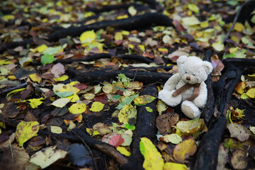 Adorable brown stuffed toy teddy bear with yellow maple leaf on head sits on dry orange leaves pile on ground in autumn park on nice sunny day close view. back to school concept.