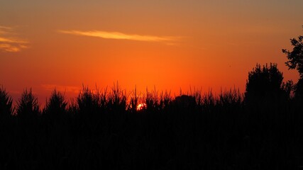 bonito sol blanco asomando entre los campos de maiz bajo el cielo color naranja, lérida, españa, europa