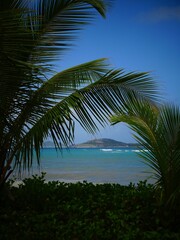 Seychelles - Praslin Island - Anse Kerlan Beach