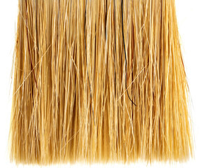 brush seta close up textures 