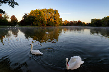 Daumesnil lake in autumn season.. Paris 12th arrondissement