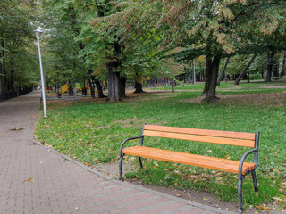 Bench in the park in Baia Mare city, Romania, in october