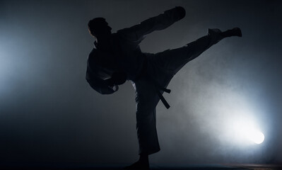 Professional karate fighter © qunica.com