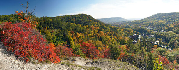 Herbstimpression mit Perückenstrauch in den Bergen von Jena in Thüringen