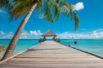 Way to paradise tropical resort island in ocean waves - 536517114