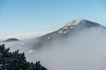 Winter forest and in mountain region. Winter vacations