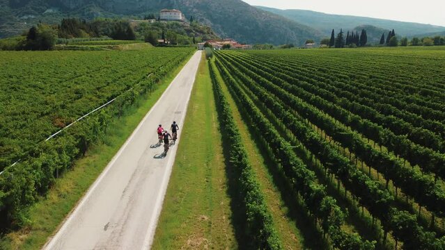 Three cyclists riding to Fort Rivoli through vineyards in Italy.