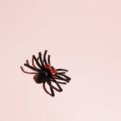 Spider toy with cute polka dot hair bow, creative Halloween party inspired layout on pastel pink background. 