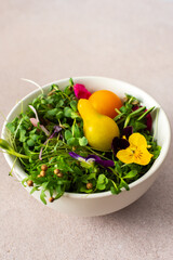 Bowl with healthy tasty microgreens of radish and peas, cilantro and cumin, sunflower and flax and cherry tomatoes