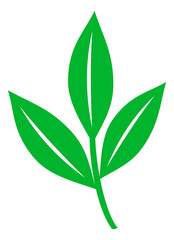 Green leaf icon. Eco symbol. Clean naure sign