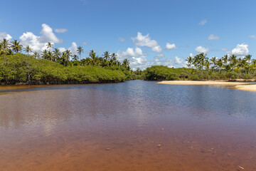 natural landscape in the district of Trancoso in the city of Porto Seguro, State of Bahia, Brazil