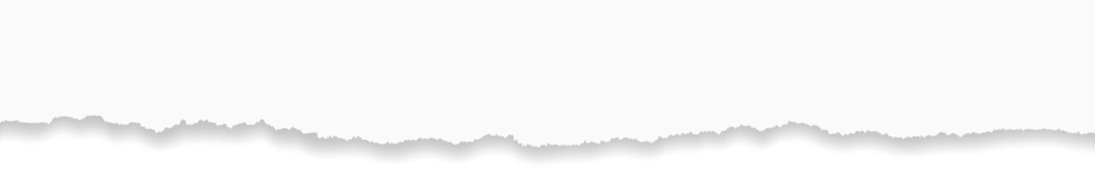 Obraz premium Torn paper edge. Ripped horizontal peace. White strip border