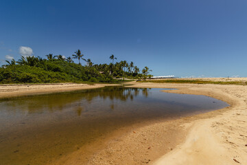 natural landscape in the district of Trancoso in the city of Porto Seguro, State of Bahia, Brazil