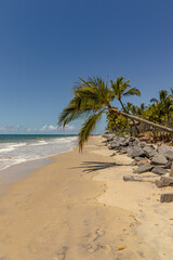 natural landscape in the district of Trancoso in the city of Porto Seguro, State of Bahia, Brazil