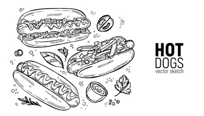 Set of street food. Fast food, hot dog, classic and with vegetables, sauce, ketchup. Hand drawing sketches