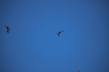 Patrouille Red Devils armée de l'air Belge