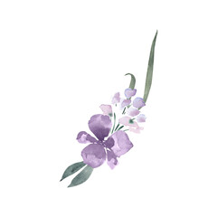 Mauve purple pink flowers with green leaves bouquet arrangement isolated on white background. Elegant hand-painted watercolor floral design clipart  © Asymme3