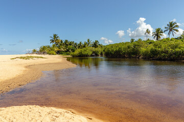 natural landscape in the district of Trancoso in the city of Porto Seguro, State of Bahia, Brazil