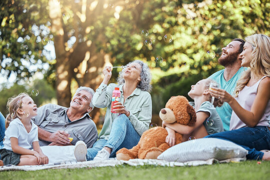 Happy big family, park picnic and love bonding, happiness and joy for reunion together smile in outdoor nature. Elderly Grandparents, mother and dad playing outside with excited girl children or kids