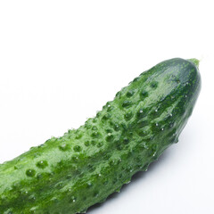 cucumber on a white background