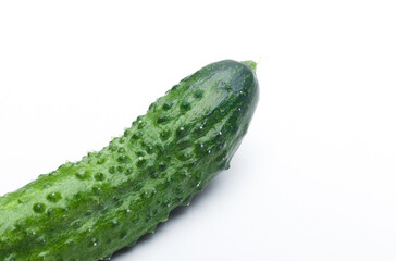 cucumber on a white background