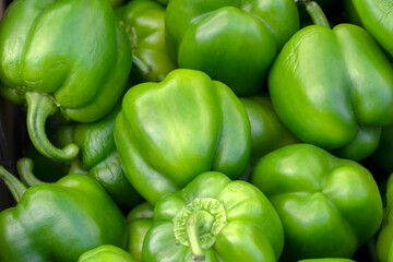 Obraz na płótnie Canvas Close Up Green Bell Peppers At Amsterdam The Netherlands 6-10-2022