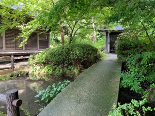 山寺参道の景色