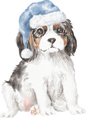 Cavalier king charles spaniel puppy in santa hat