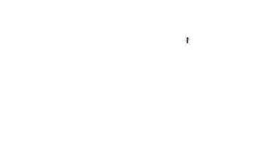 An ant crawls on a white sheet of paper. A white form with a black beetle. A blank form for the text with a joke. An ant on a white isolate.
