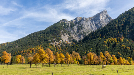 Fototapeta na wymiar Herbst in den Alpen