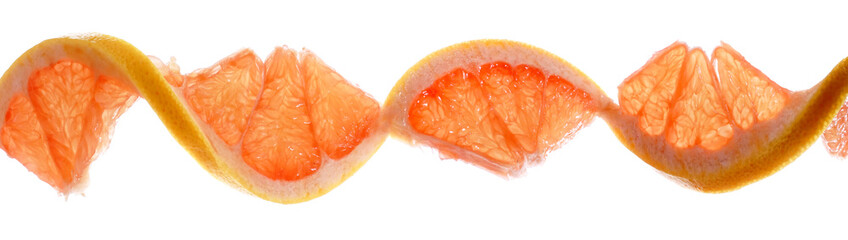 DNA Food, Grapefruit - GMO modified fruit isolated on white Background, Panorama.