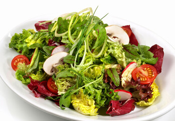Colorful Mixed Salad with Mushrooms - Isolated on white Background