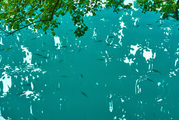 Clear waters of  Bled lake, Solvenia