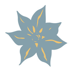 Flower illustration. Botanical decorative design element. 