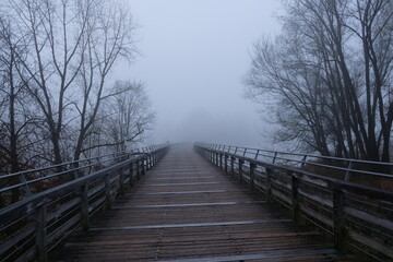 Naklejka premium Wooden bridge disappears in thick fog