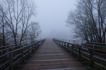 Wooden bridge disappears in thick fog