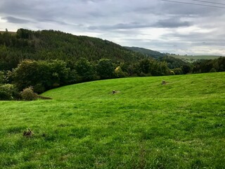 Naklejka premium Landschaft bei Berga / Elster (Thüringen)