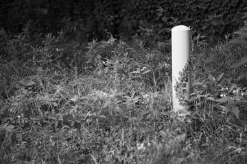 A typical concrete bollard in the forest in black and white.