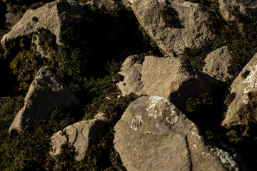 Black stones on the shore