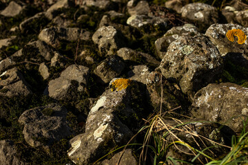Black stones on the shore